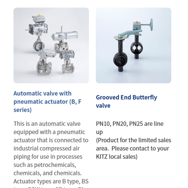 KITZ日本開滋閥門、10K電動蝶閥EXS100-10DJUE-250A