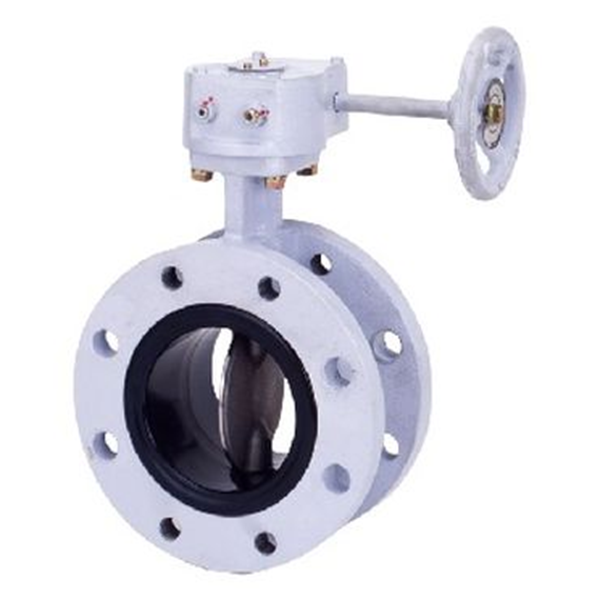 KITZ開滋閥門\HRDJ系列控制用蝶閥G-10HRDJUE-65A