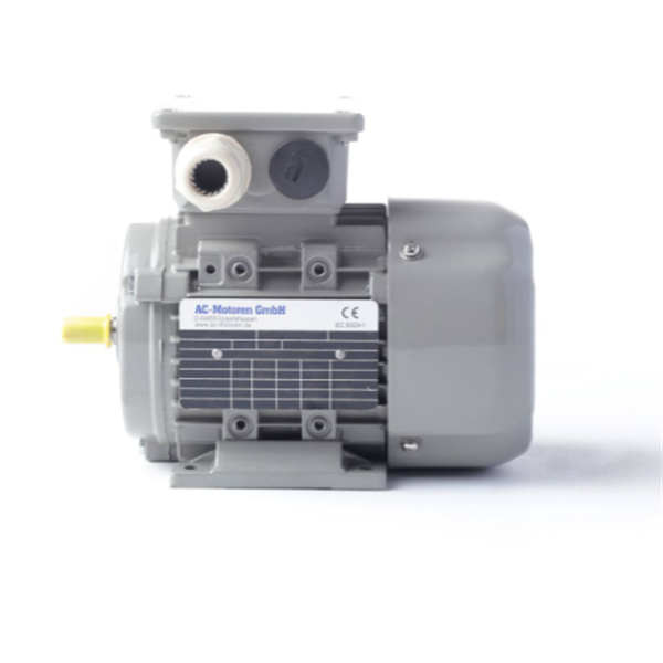 德國AC MOTOREN三相異步雙速電機AC18L4600001